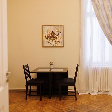 Spacious Flat In Old Town Wi-Fi Temesvár Kültér fotó