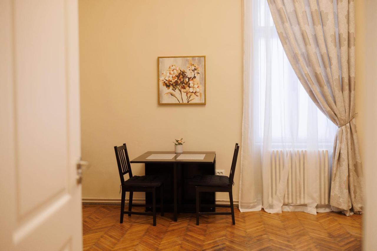 Spacious Flat In Old Town Wi-Fi Temesvár Kültér fotó