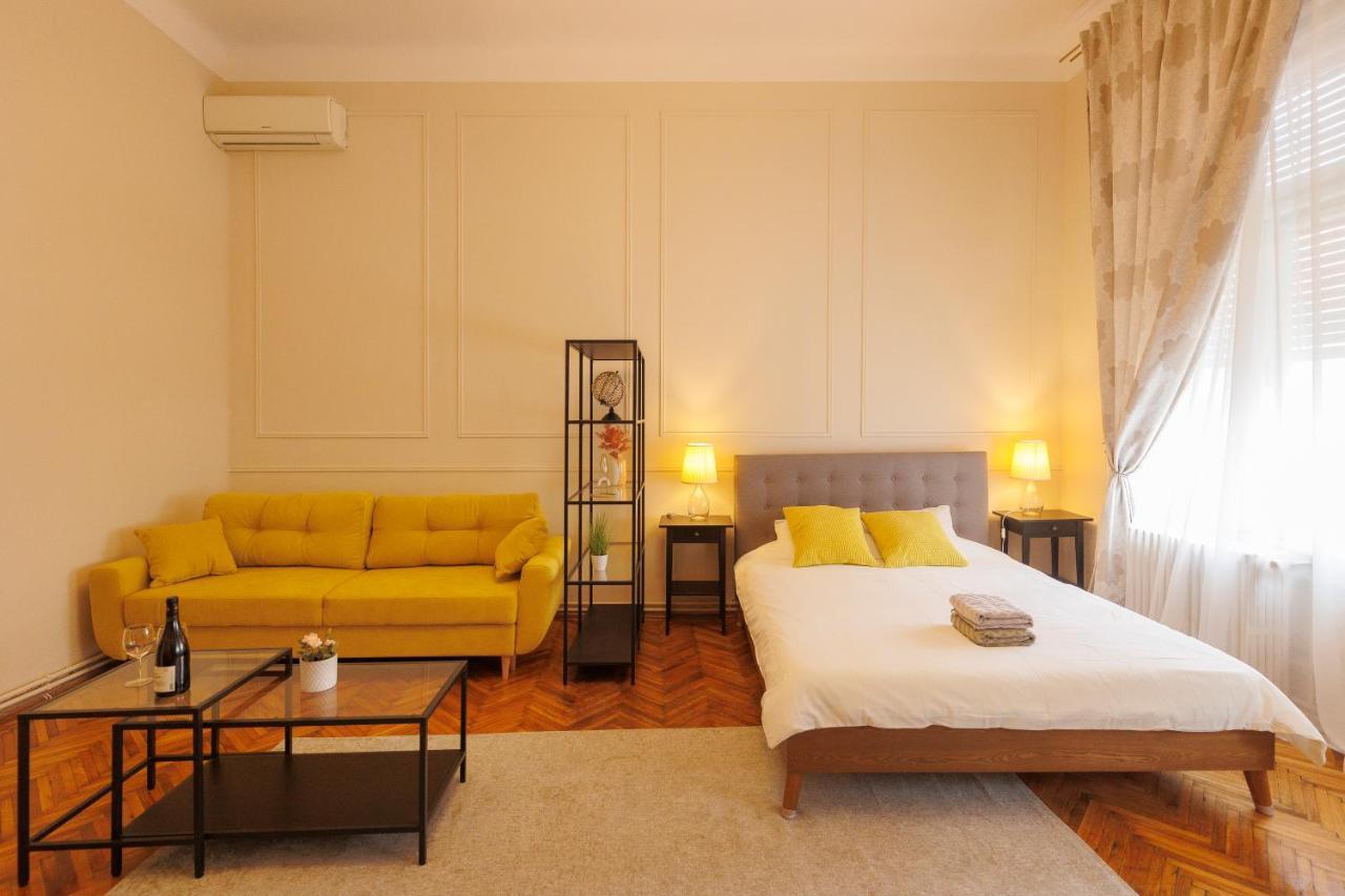 Spacious Flat In Old Town Wi-Fi Temesvár Kültér fotó