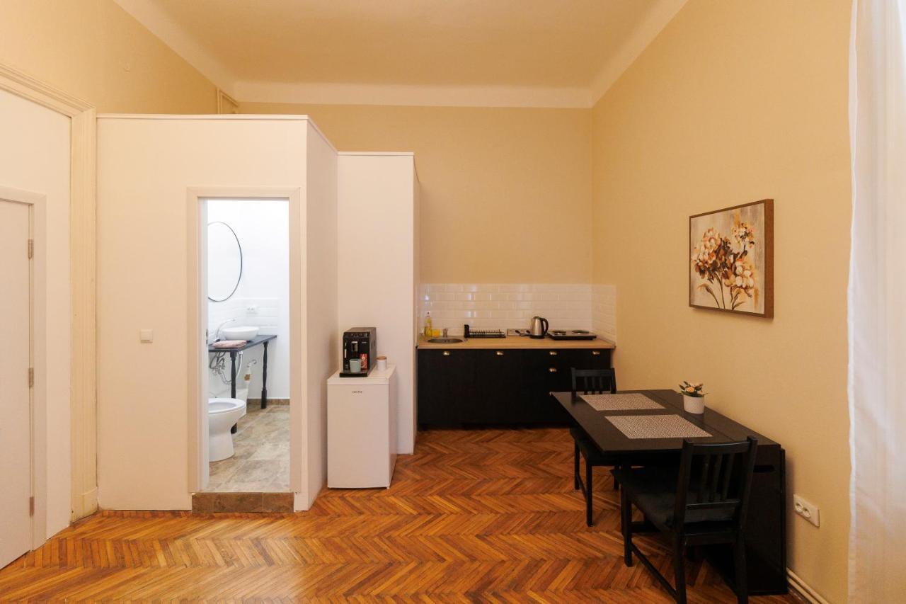 Spacious Flat In Old Town Wi-Fi Temesvár Kültér fotó