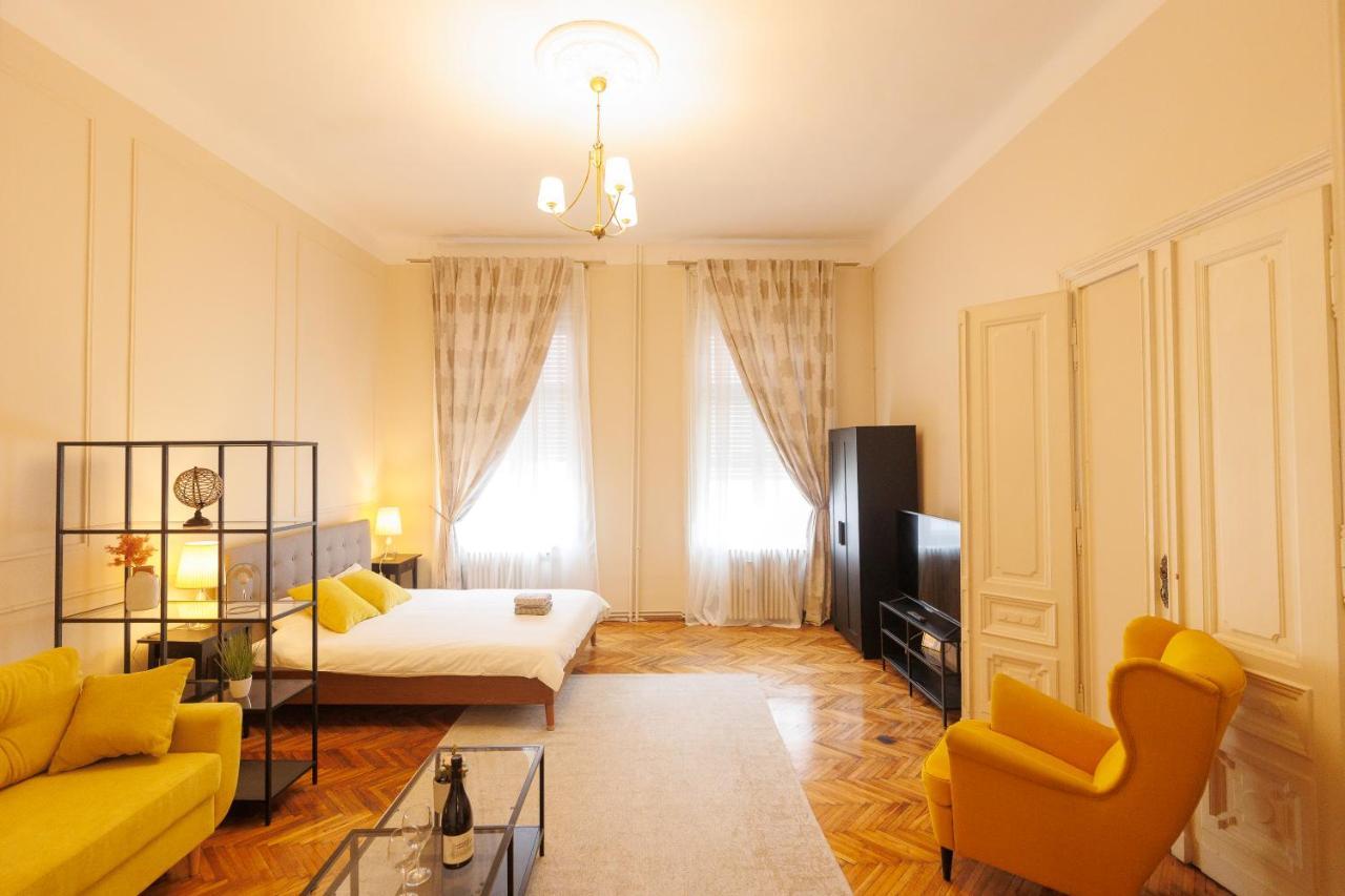 Spacious Flat In Old Town Wi-Fi Temesvár Kültér fotó